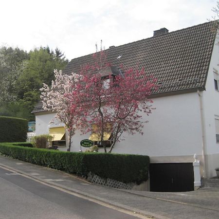 Ferienwohnung Weber Schleiden Exterior photo